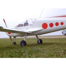 Rallye Morane - 250cm Spw.