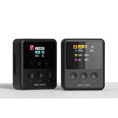 ISDT Ladegerät 608PD -- 12 Volt